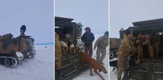 Foto: Rescatan a peón y sus perros luego de estar atrapados en la nieve un mes/Créditos