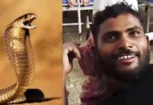 En la India hombre mató a una serpiente «mordiéndola tres veces» Foto: Creencias en la India /cortesía