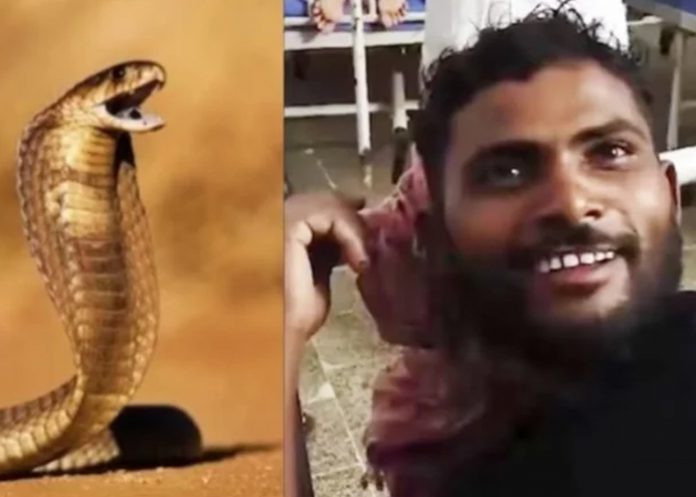 Foto: Creencias en la India /cortesía Foto: Creencias en la India /cortesía