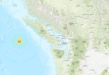 Potente sismo de 6,6 sacude el puerto de Port McNeill en Canadá Foto: Sismo en Canadá /cortesía