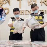 Sorprenden a hombre con más de 100 serpientes vivas en sus pantalones Foto: Sorprenden a hombre con más de 100 serpientes en sus pantalones / Cortesía