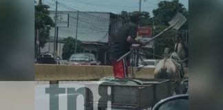 Foto: Carretonero agrede con una pala a su caballo en la pista del mercado Roberto Huembes/TN8