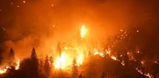 Foto: Incendio fuera de control en Canadá obliga a evacuar a más de 9,000 personas/ Cortesía