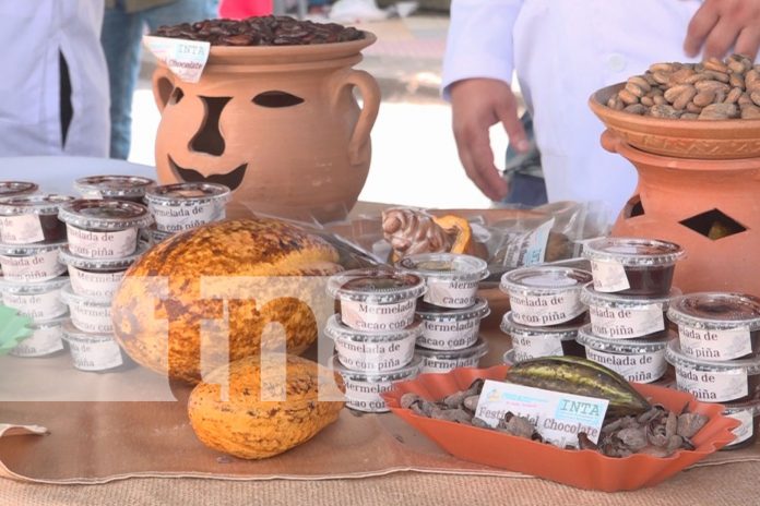 Foto: cientos de familias disfrutaron del festival departamental del Chocolate, Estelí/TN8 Foto: cientos de familias disfrutaron del festival departamental del Chocolate, Estelí/TN8
