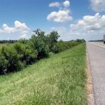 Bebé de un año es abandonado por su propia madre en una carretera de EE.UU. Rescató a bebé de un año abandonado en la carretera