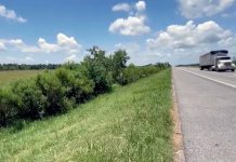 Bebé de un año es abandonado por su propia madre en una carretera de EE.UU. Rescató a bebé de un año abandonado en la carretera