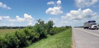 Rescató a bebé de un año abandonado en la carretera