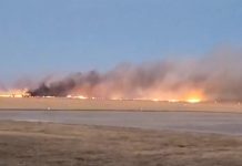 Foto: Accidente en Argentina /cortesía