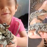 ¡Increíble! Niña tailandesa de 4 años juega con decenas de crías de cocodrilo Foto: Video de una niña tailandesa de 4 años jugando con crías de cocodrilo/Cortesía