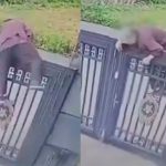 Abuelita de 92 años escala reja de dos metros para escapar de asilo (VIDEO) Foto: Abuela escala reja de dos metros para escapar de asilo /Cortesía