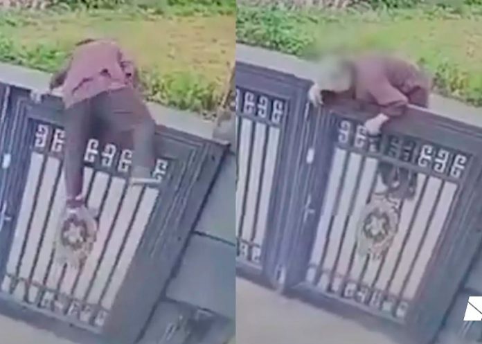 Foto: Abuela escala reja de dos metros para escapar de asilo /Cortesía Foto: Abuela escala reja de dos metros para escapar de asilo /Cortesía