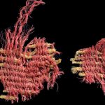 Arqueólogos encuentran en Israel raro tejido que la Biblia menciona 25 veces Foto: Hallazgo en Israel /cortesía