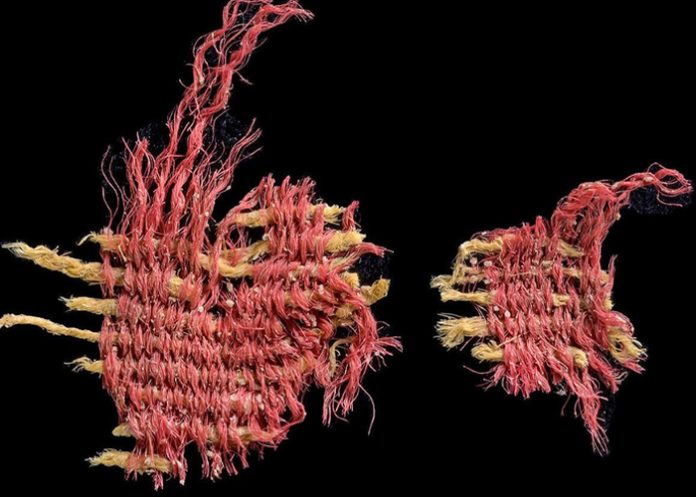 Foto: Hallazgo en Israel /cortesía Foto: Hallazgo en Israel /cortesía