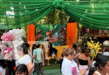El Zoológico de Juigalpa celebra el primer año de Itzae, la pumita albina y sus hermanas Foto: El Zoológico de Juigalpa celebra el primer año de Itzae, la pumita albina y sus hermanas/TN8