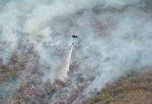 Desesperada lucha contra el fuego: Ecuador enfrenta el peor incendio forestal en años Foto: Miembros de las Fuerzas Armadas de Ecuador apoyan hoy al Cuerpo de Bomberos/Cortesía