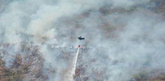 Foto: Miembros de las Fuerzas Armadas de Ecuador apoyan hoy al Cuerpo de Bomberos/Cortesía