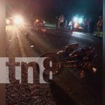 Semoviente provoca la muerte de un motociclista en el km 44 de la Carretera Norte Foto: Semoviente provoca la muerte de un motociclista en el km 44 de la Carretera Norte/TN8
