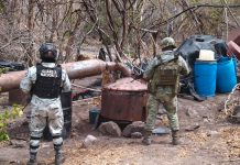 Golpe al narcotráfico: desmantelan segundo narcolaboratorio en México Foto: México desmantela narcolaboratorio /Cortesía