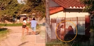 Joven golpeó a su madre en plena vía pública