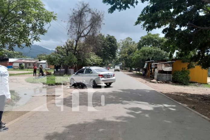 1 Motociclista impacta contra semoviente en Jalapa y sufre lesiones
