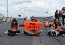 Foto: Detienen a ocho ecologistas tras irrupción en el aeropuerto de Fráncfort, Alemania/Créditos