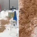 Mesa preparada para Netanyahu en hotel de Washington aparece infestada de gusanos Foto: Gusanos sobre una mesa en un hotel de Washington /Cortesía