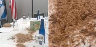 Foto: Gusanos sobre una mesa en un hotel de Washington /Cortesía
