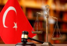 Turquía aprueba nueva ley para retirar a millones de perros callejeros Foto: Turquía aprobó ley destinada a retirar de las calles a millones de perros callejeros/Cortesía