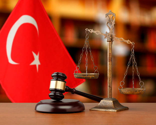 Foto: Turquía aprobó ley destinada a retirar de las calles a millones de perros callejeros/Cortesía Foto: Turquía aprobó ley destinada a retirar de las calles a millones de perros callejeros/Cortesía