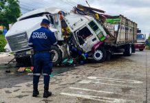 Brutal accidente en El Salvador entre una rastra y un camión que transportaba ganado Foto: Tragedia en El Salvador /cortesía