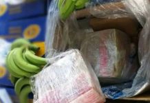 Hallan casi seis toneladas de cocaína en un cargamento de banano en Ecuador Foto: Hallan casi seis toneladas de cocaína /cortesía