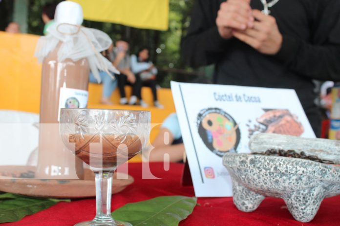 2 Foto: Emprendedores con iniciativas innovadoras en festival del chocolate en Madriz / TN8