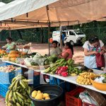 MEFCCA, continúa brindando acompañamiento a los diferentes emprendedores Foto: MEFCCA brindando acompañamiento a los diferentes emprendedores y productores/TN8