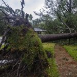 Suman a 9 los muertos por el huracán Beryl tras impactar Texas Foto: Beryl impacta en Texas /cortesía