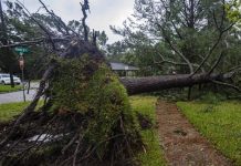 Suman a 9 los muertos por el huracán Beryl tras impactar Texas Foto: Beryl impacta en Texas /cortesía