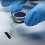 Neuralink avanza con fuerza en el desarrollo de dispositivos cerebrales Foto: Neuralink avanza en tecnología /cortesía