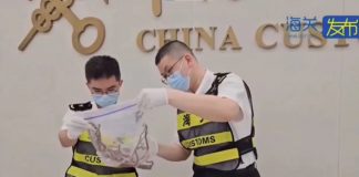 Foto: Hombre detenido por llevar escondidas más de 100 serpientes/Créditos