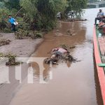 Tragedia en Nueva Segovia: Hombre apareció flotando en las aguas del río Coco Foto: Tragedia en Nueva Segovia: Hombre apareció flotando en las aguas del río Coco/TN8