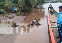 Foto: Tragedia en Nueva Segovia: Hombre apareció flotando en las aguas del río Coco/TN8