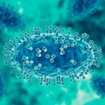 ¡Alerta en Haití! Autoridades atentas ante casos de Ántrax Foto: Atenta a la evolución de una decena de casos de ántrax en Haití/Cortesía