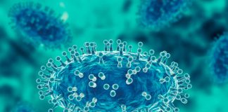 Foto: Atenta a la evolución de una decena de casos de ántrax en Haití/Cortesía
