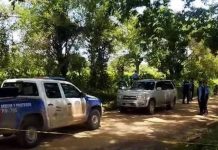 Horror en Honduras: Hallan tres hombres muertos dentro de una camioneta Foto: Masacre en Honduras /cortesía
