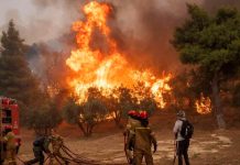 Tres bomberos sufrieron quemaduras tras enfrentarse a incendio forestal en Grecia Foto: Tres bomberos heridos por incendio forestal en Grecia/Cortesía