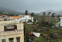 Terribles afectaciones tras el paso del huracán Beryl en el Caribe Foto: Huracán Beryl desata el caos /cortesía