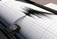 Terremoto de 6.3 en Chiapas, México sacude Centroamérica Foto: Sismo en México /cortesía