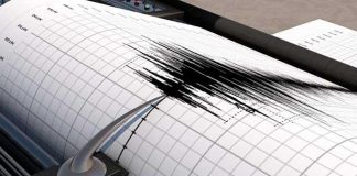 Foto: Sismo en México /cortesía