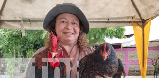 Foto: Festival 'Nicaragua Exótica' exhibe y vende animales y productos exóticos en Managua/TN8