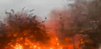 Foto; Incendio en un barrio del turístico archipiélago en Galápagos, Ecuador/Cortesía