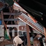 Tornado daña viviendas y árboles en Carretera Tipitapa-San Benito, Managua Foto: Tornado daña viviendas y árboles en Carretera Tipitapa-San Benito, Managua/TN8