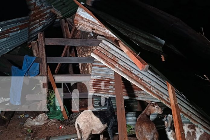 Foto: Tornado daña viviendas y árboles en Carretera Tipitapa-San Benito, Managua/TN8